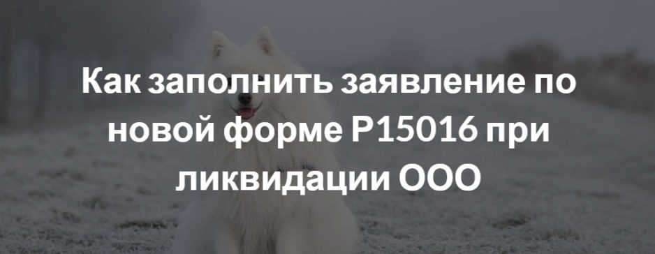 Как заполнить заявление по новой форме Р15016 при ликвидации ООО Как заполнить заявление по новой форме Р15016 при ликвидации ООО