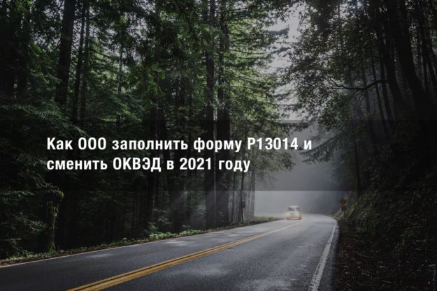 Как ООО заполнить форму Р13014 и сменить ОКВЭД в 2021 году