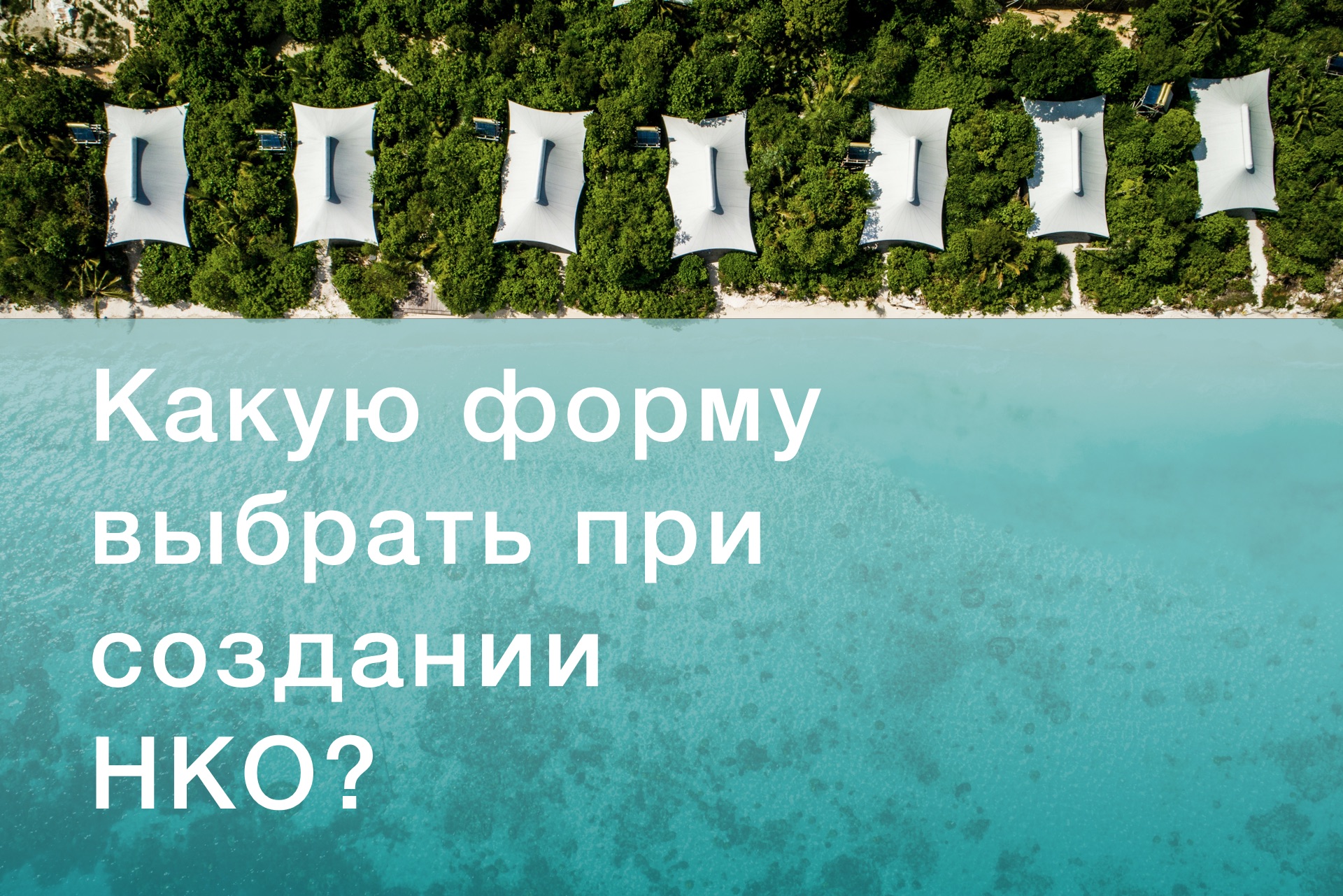 Какую организационно-правовую форму выбрать при создании НКО Какую организационно-правовую форму выбрать при создании НКО