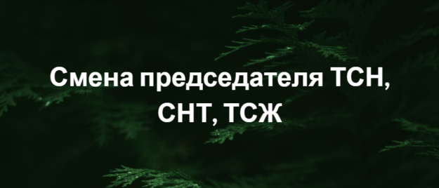 Как сменить председателя. Смена председателя снт пошаговая инструкция 2025. смена жительства.