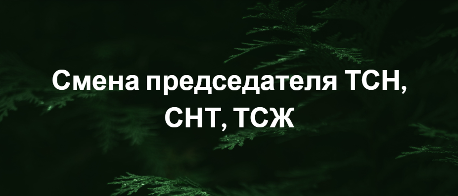 Смена председателя