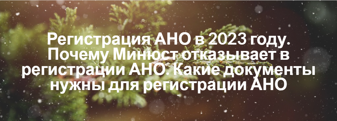 Регистрация АНО в 2023 году Регистрация АНО в 2023 году