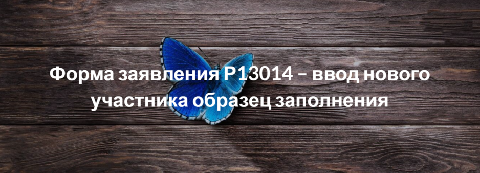 Форма заявления Р13014 – ввод нового участника образец заполнения