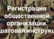 Регистрация общественной организации.