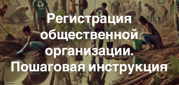 Регистрация общественной организации. Регистрация общественной организации.