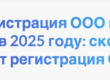 Регистрация ООО под ключ в 2025 году: сколько стоит регистрация ООО