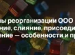 Формы реорганизации ООО в РФ: выделение, слияние, присоединение и разделение — особенности и примеры