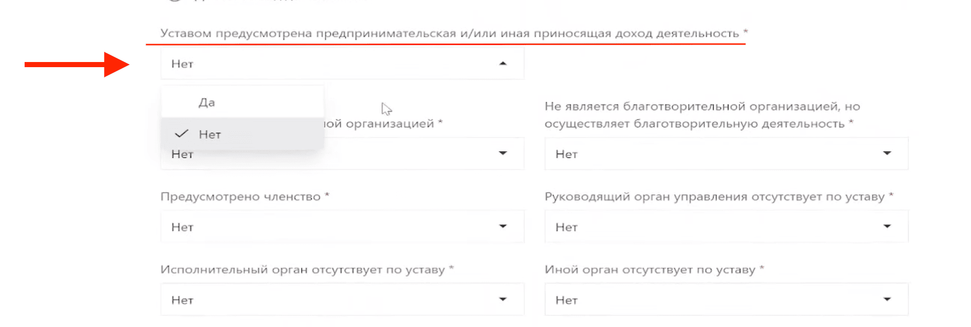 Как разместить устав НКО на сайте Минюста – Указываем, есть ли виды деятельности, приносящие доход