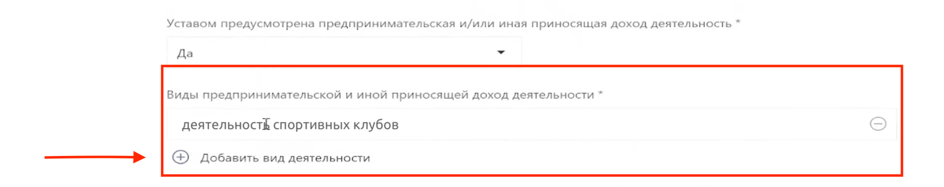 Как разместить устав НКО на сайте Минюста – Указываем, есть ли виды деятельности, приносящие доход