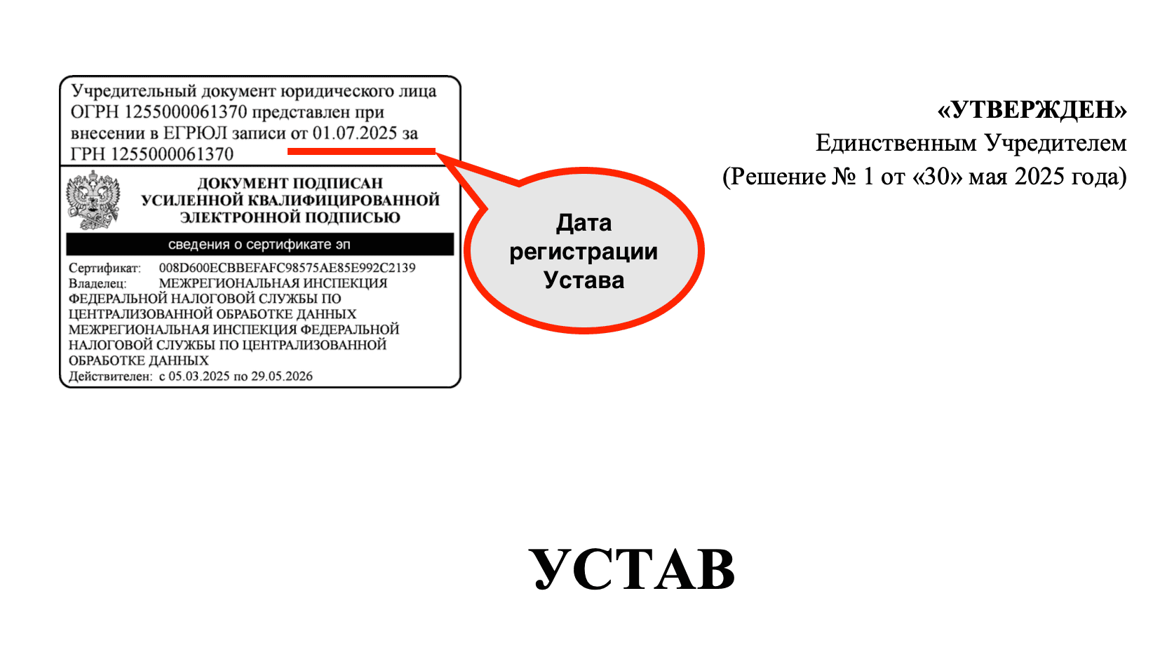 дата регистрации устава нко где найти
