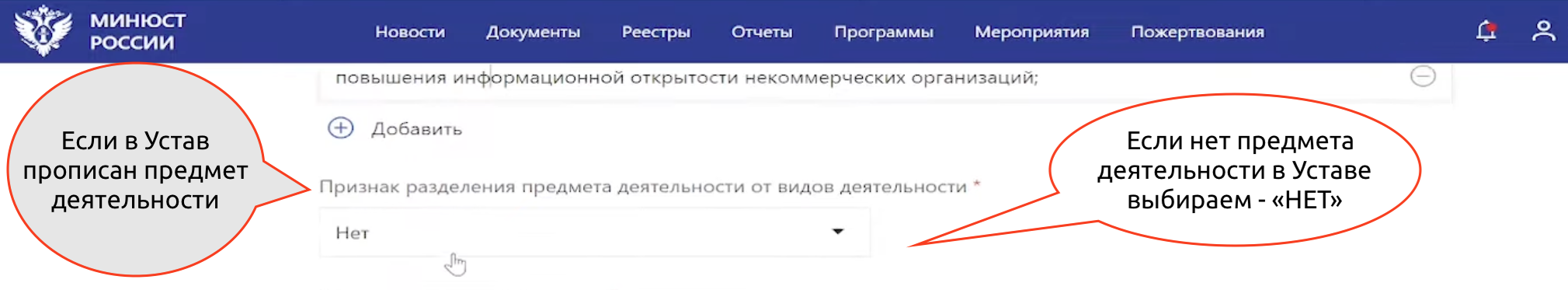 Как разместить устав НКО на сайте Минюста – Указываем Предмет деятельности