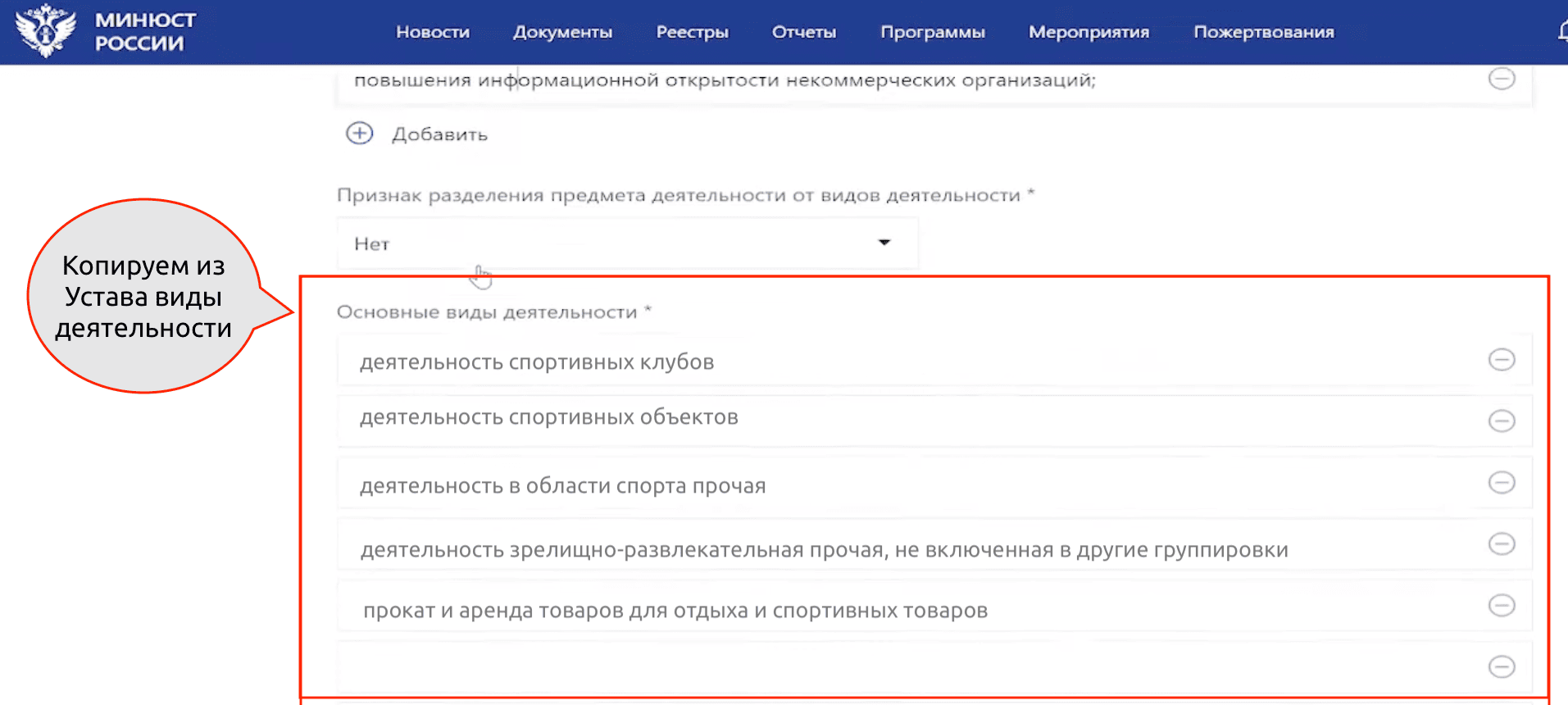 Как разместить устав НКО на сайте Минюста – Указываем Виды деятельности